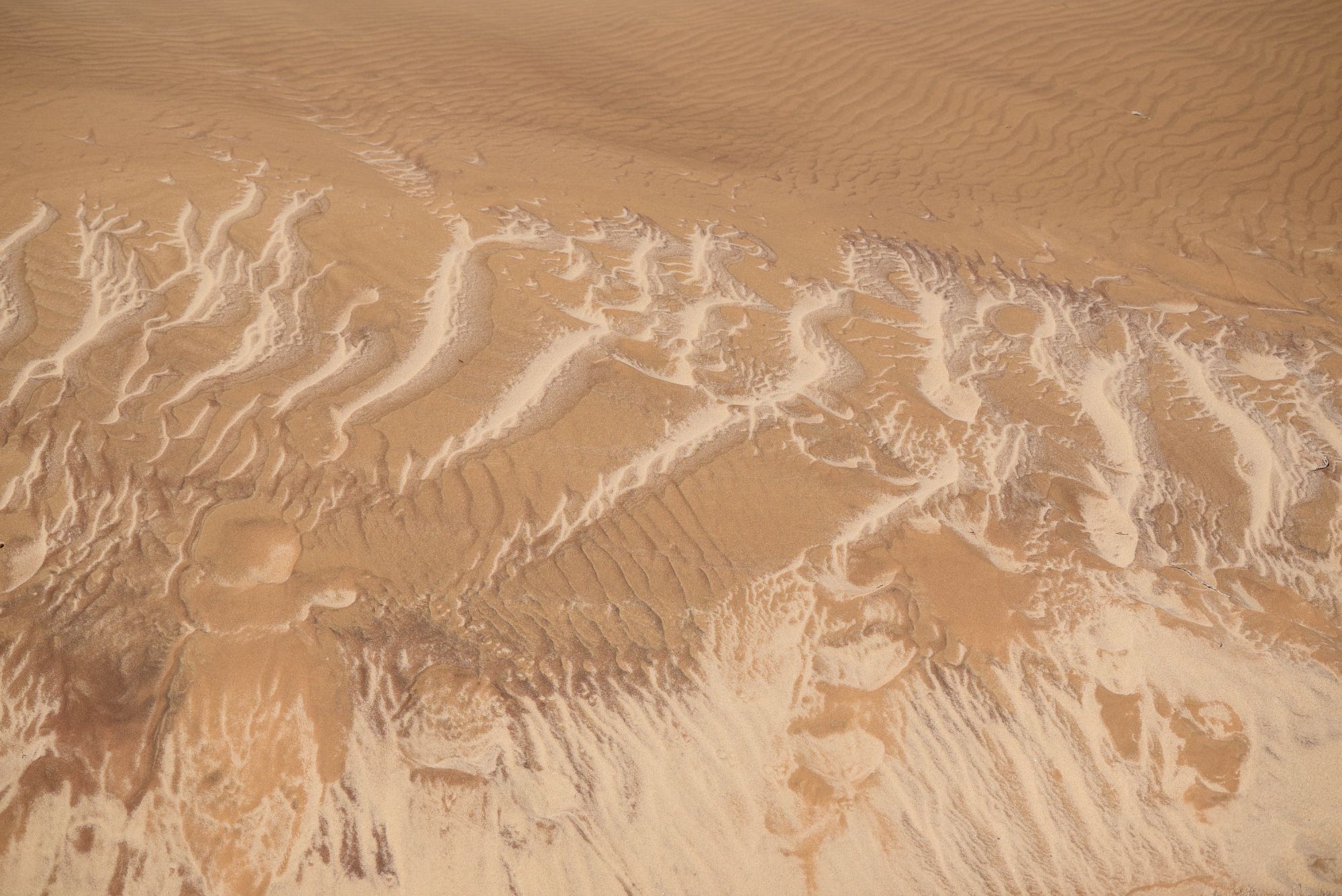 Highlights (190 of 231)_resized.jpg